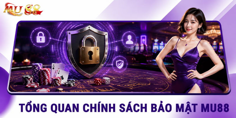 Tổng quan tại chính sách bảo mật