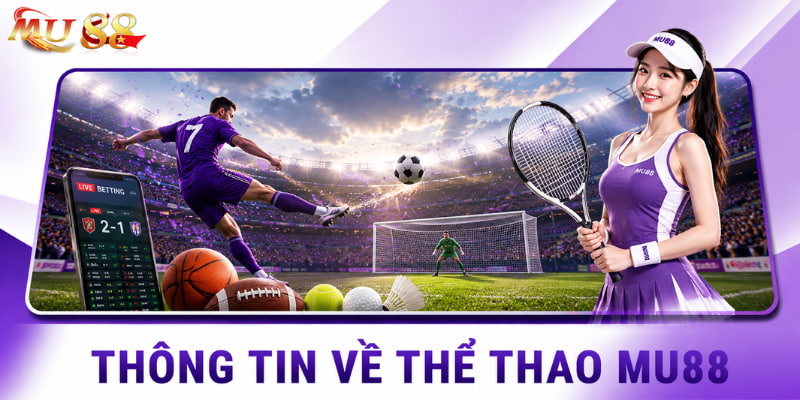 Thông tin về sảnh thể thao 
